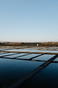 a large field with a lot of water in it