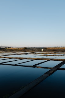 A series of rectangular salt pans stretch across the landscape, reflecting the clear blue sky above. The pans are separated by narrow embankments, creating a grid-like pattern. In the distant background, a strip of grass or vegetation, likely indicating the edge of a field or water body, is visible along with a distant bridge or road.