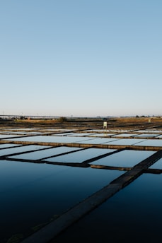 a large field with a lot of water in it