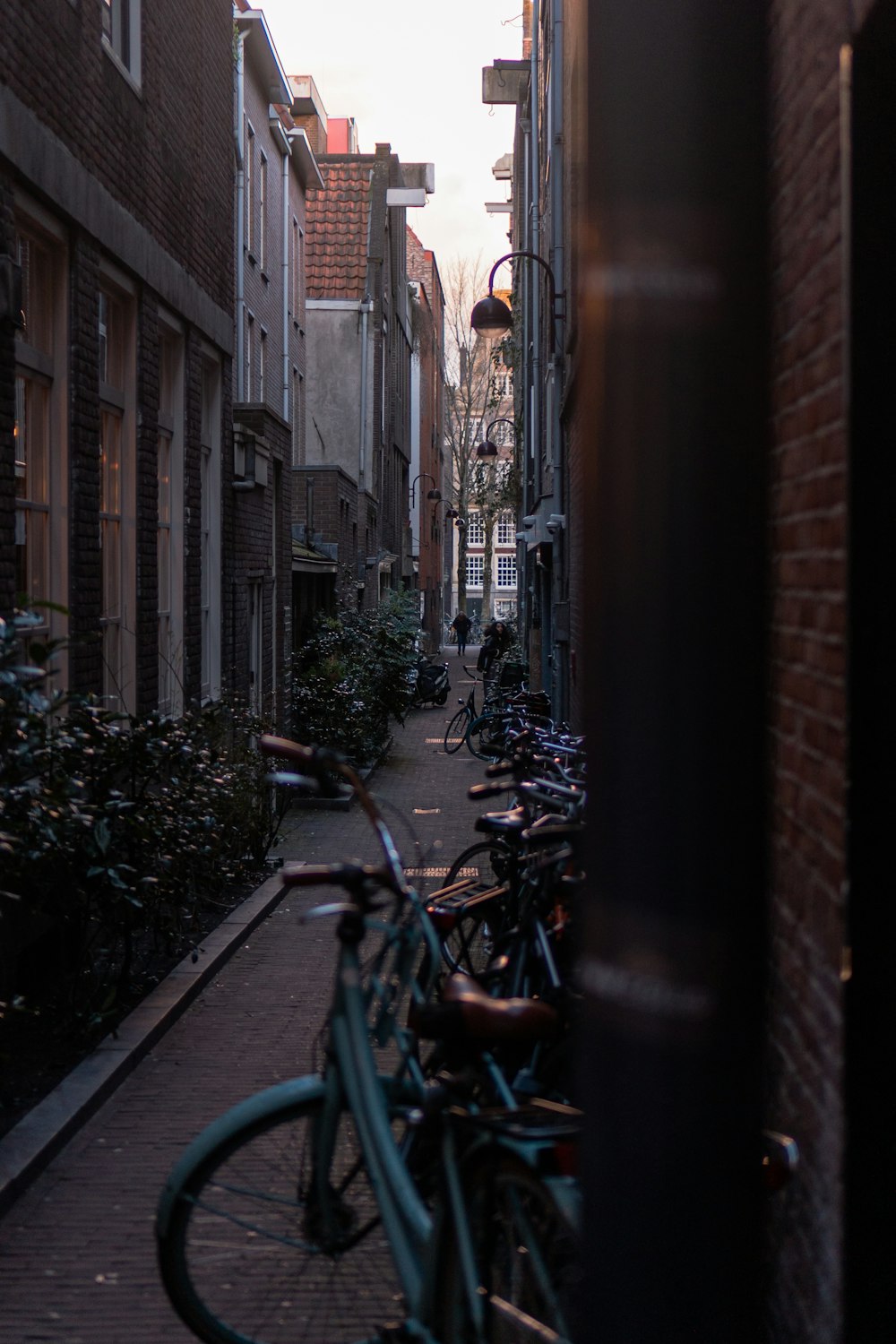 a row of bikes parked on the side of a street