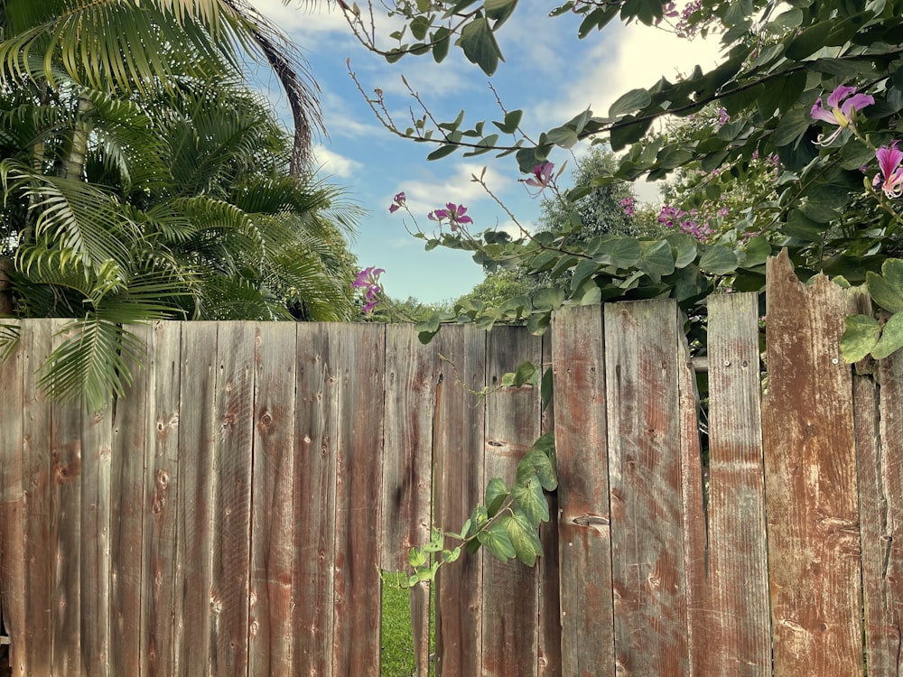 a wooden fence with flowers growing on it