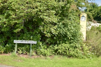 Dense green foliage surrounds a vintage yellow gas pump partially covered by the vegetation. In front of the greenery, a signpost displays the name 'Portinnisherrich'.