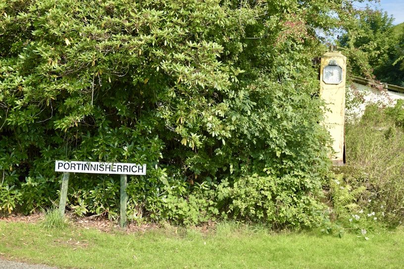Dense green foliage surrounds a vintage yellow gas pump partially covered by the vegetation. In front of the greenery, a signpost displays the name 'Portinnisherrich'.