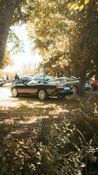 Several luxury cars are parked in a shaded outdoor area under tall trees, with sunlight filtering through the leaves creating dappled patterns on the grass. The scene suggests a car show or gathering in a natural setting.