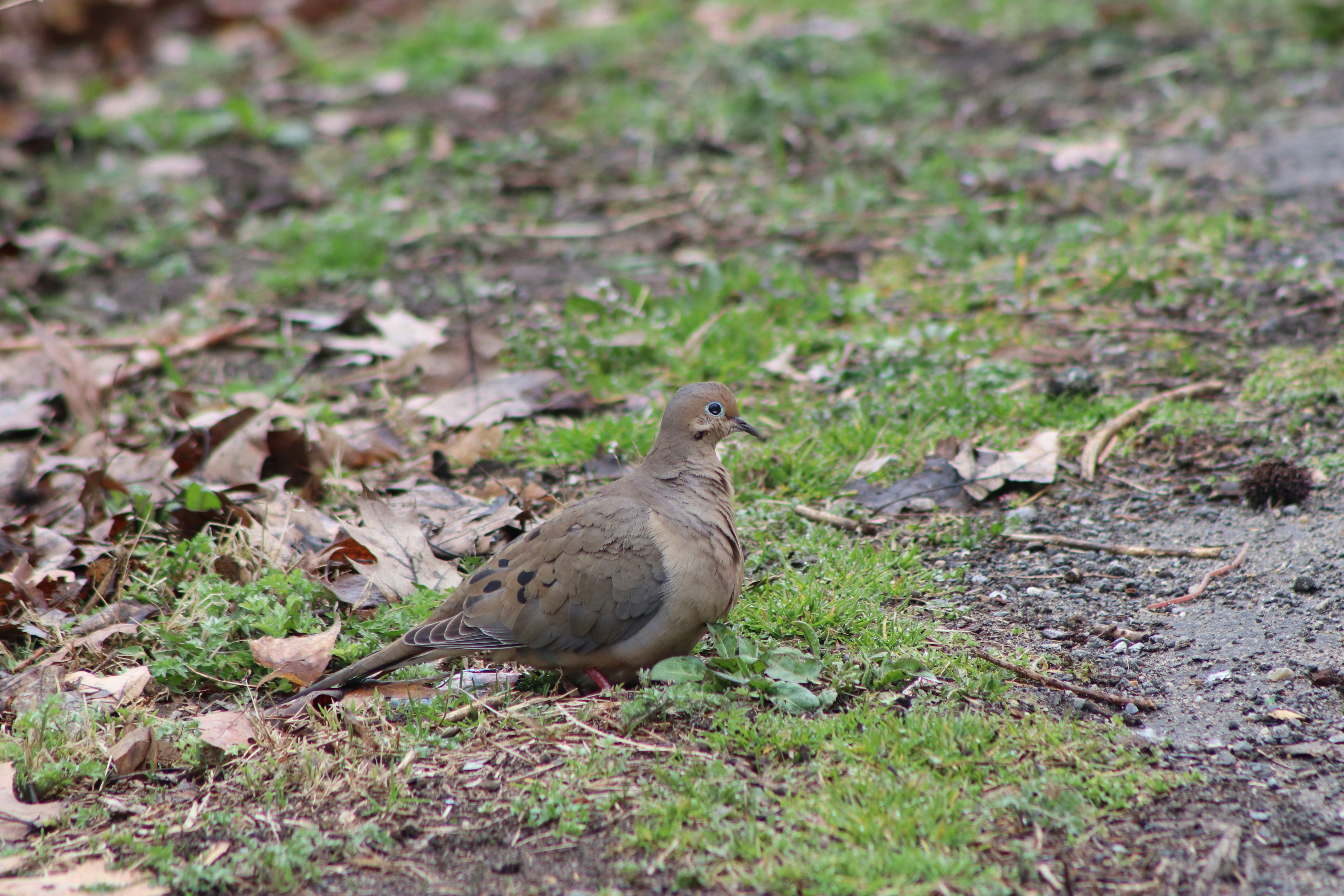 Photo by berysclicks