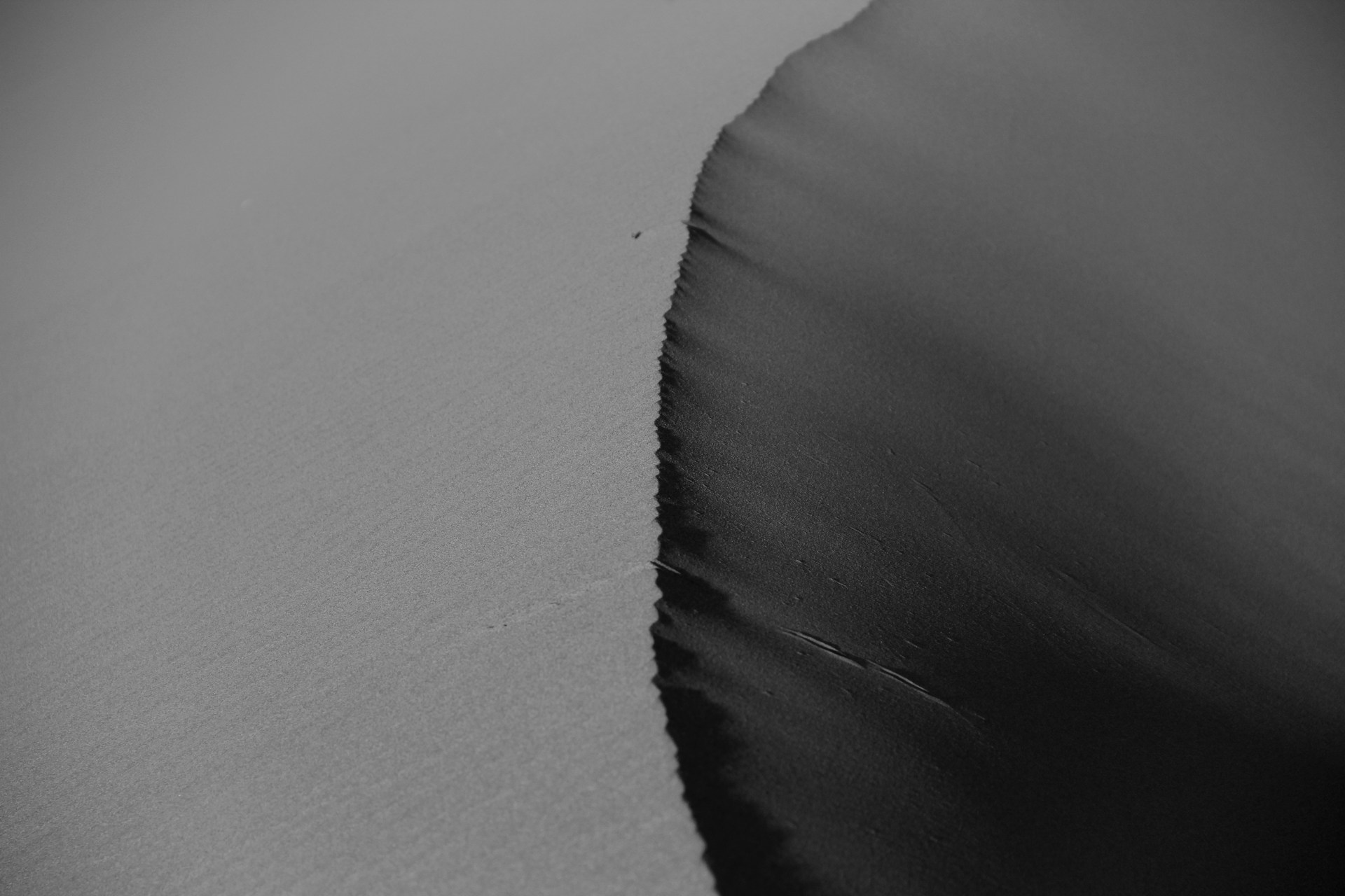 a black and white photo of a sand dune