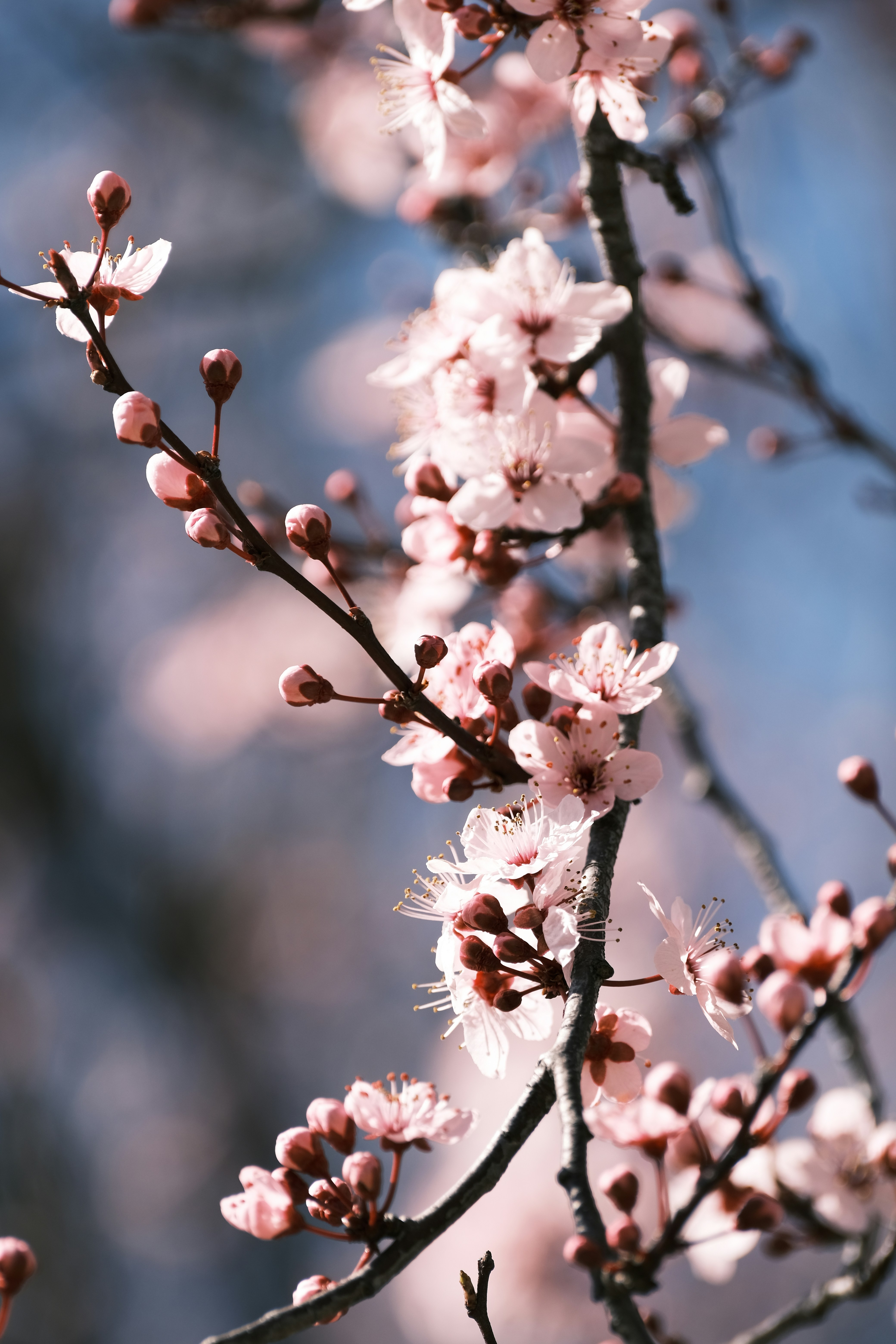 Photo by marinaliu185