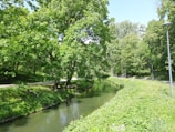 A serene riverside park featuring lush greenery and walking paths.