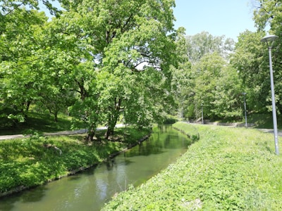 A serene riverside park featuring lush greenery and walking paths.