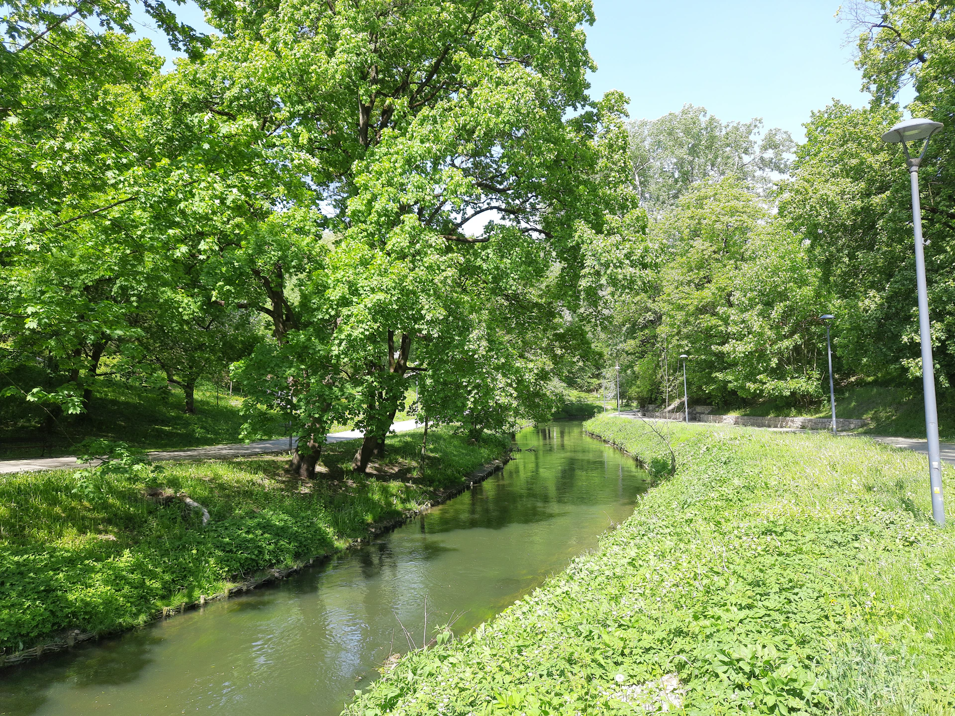 a river running through a lush green park