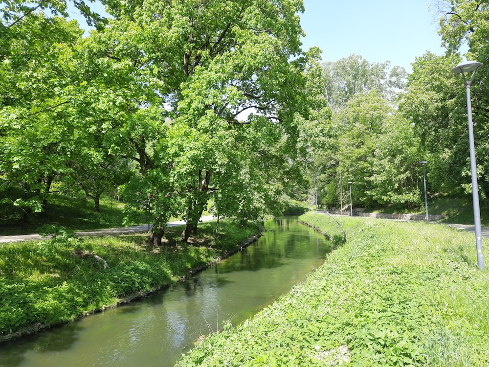 a river running through a lush green park