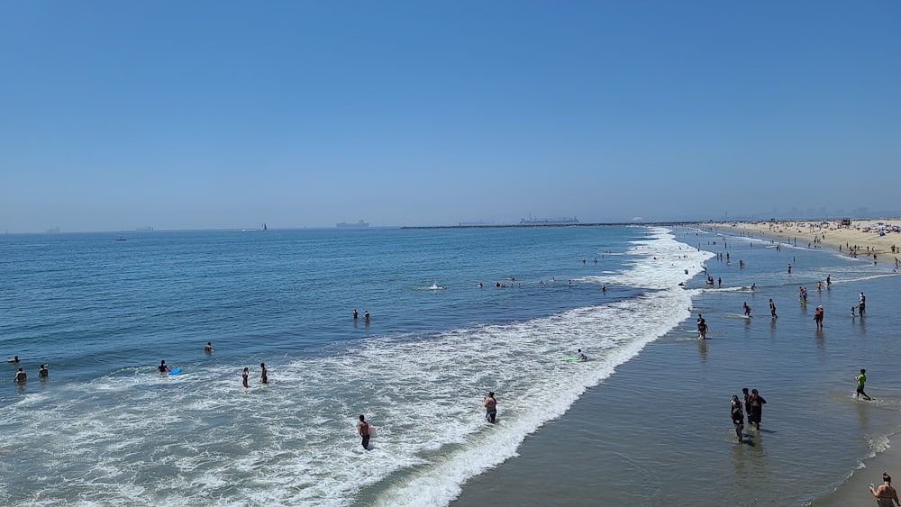 a group of people standing on top of a beach next to the ocean