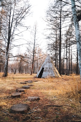 A rustic, conical wooden structure resembling a teepee sits in a tranquil forest clearing. The ground is covered with light brown fallen leaves and scattered patches of dry grass. A path of wooden stepping stones leads towards the structure, surrounded by tall, leafless trees with thin branches reaching into the sky.