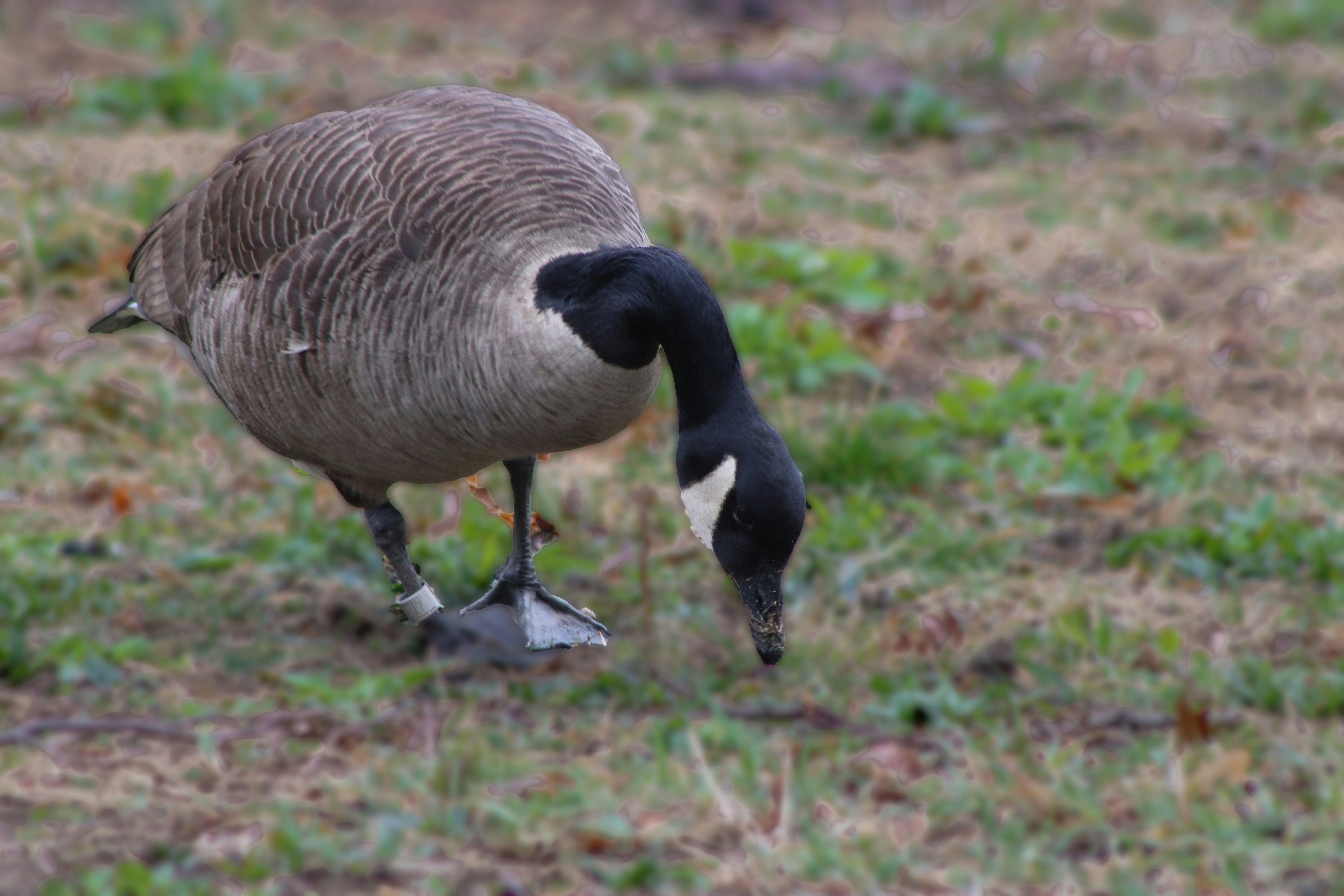 Photo by berysclicks