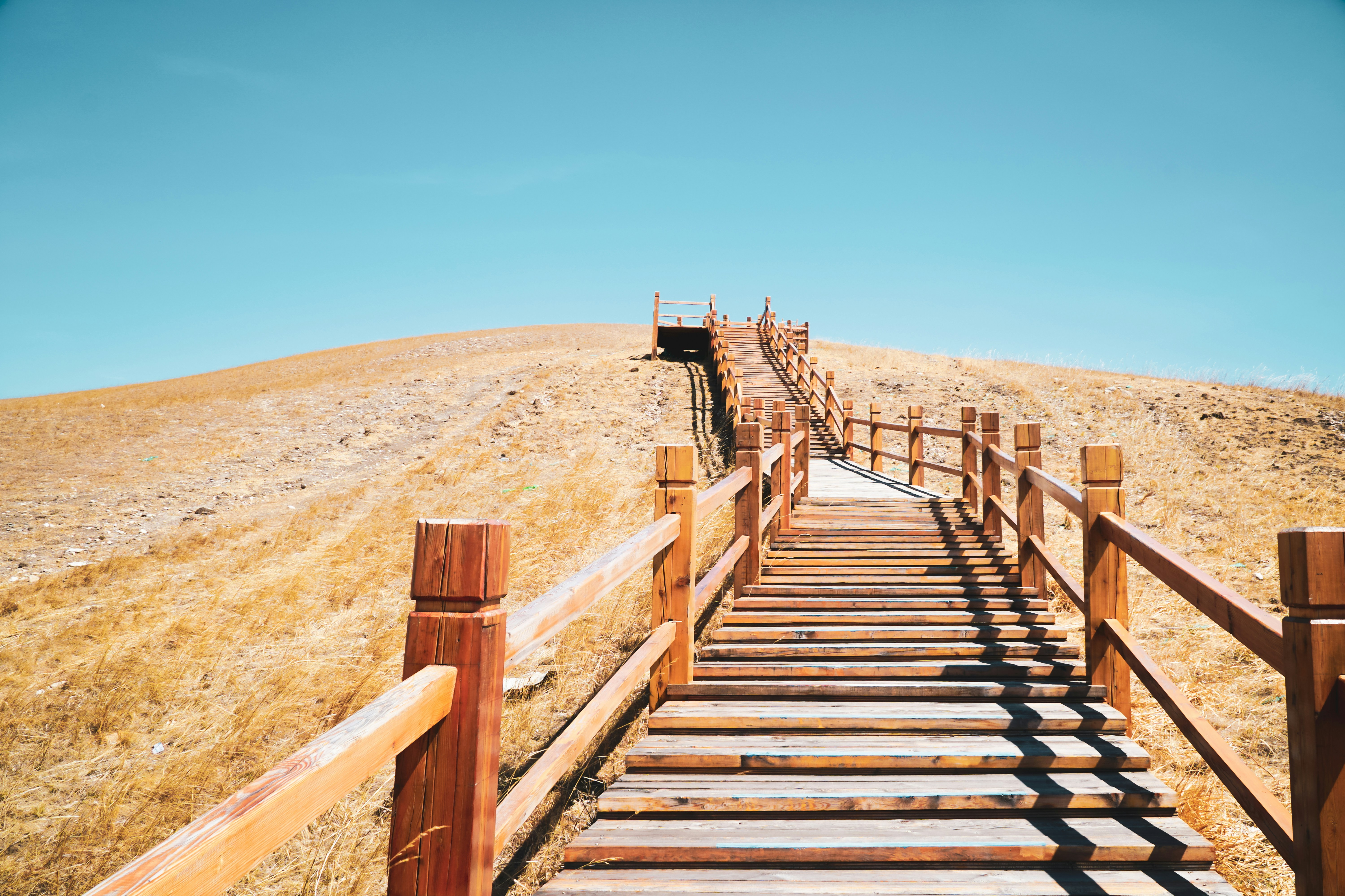 Photo by siaaa_photography