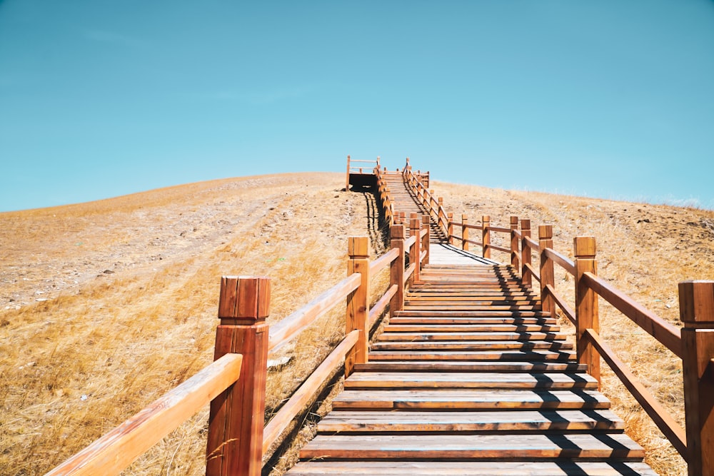 a set of wooden stairs leading up a hill