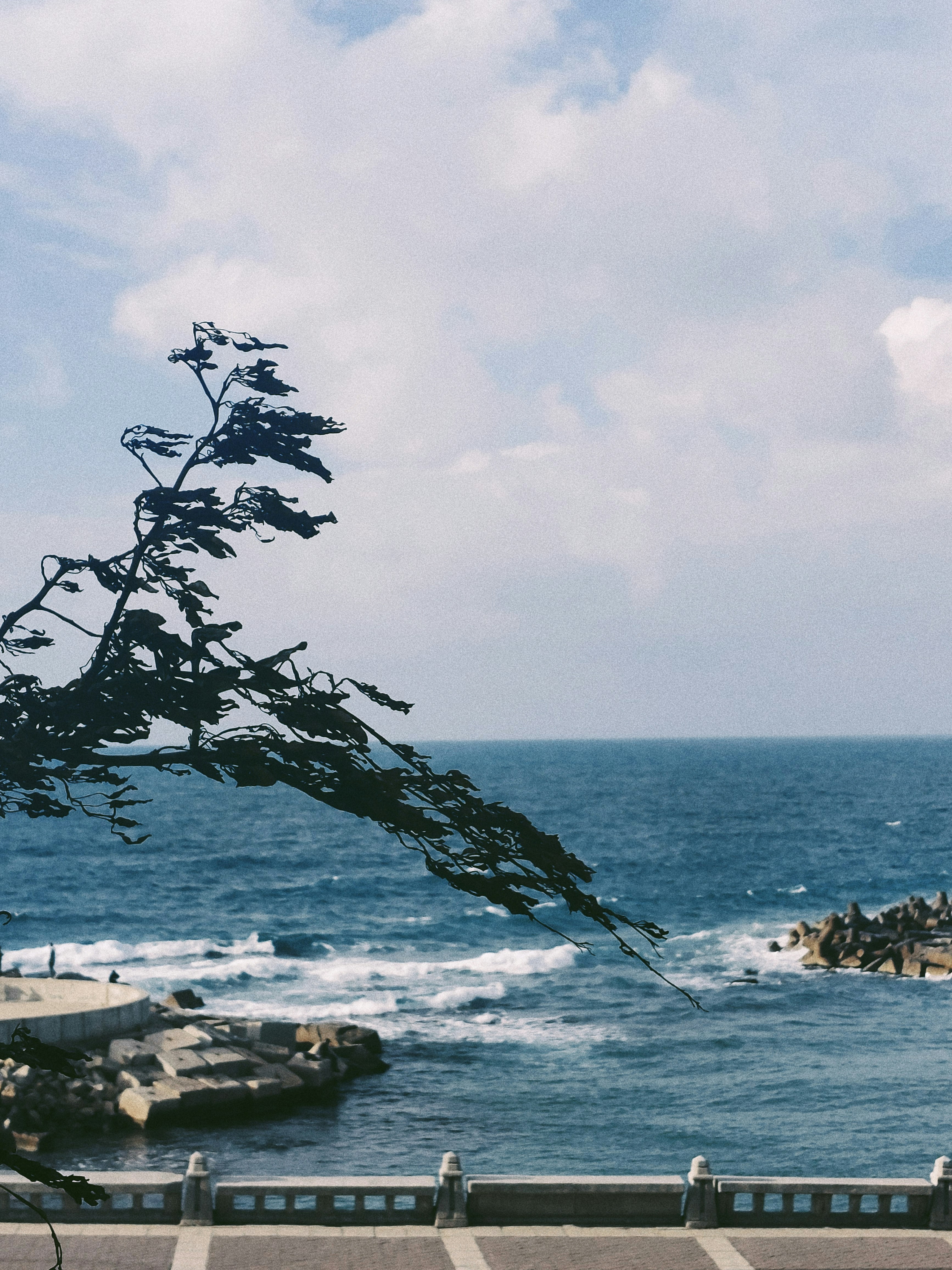 Photo by khalednader47