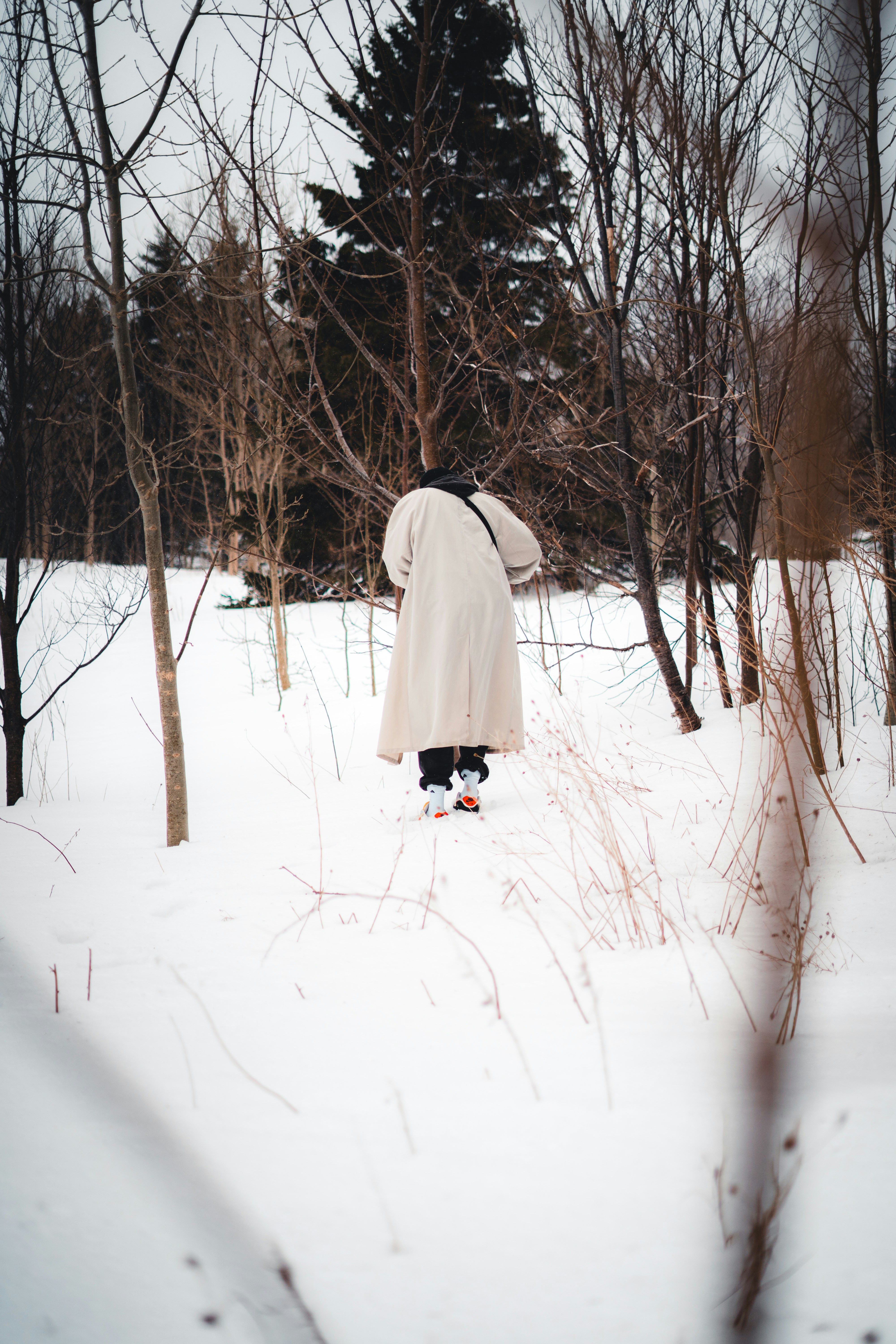 Photo by introspectivedsgn