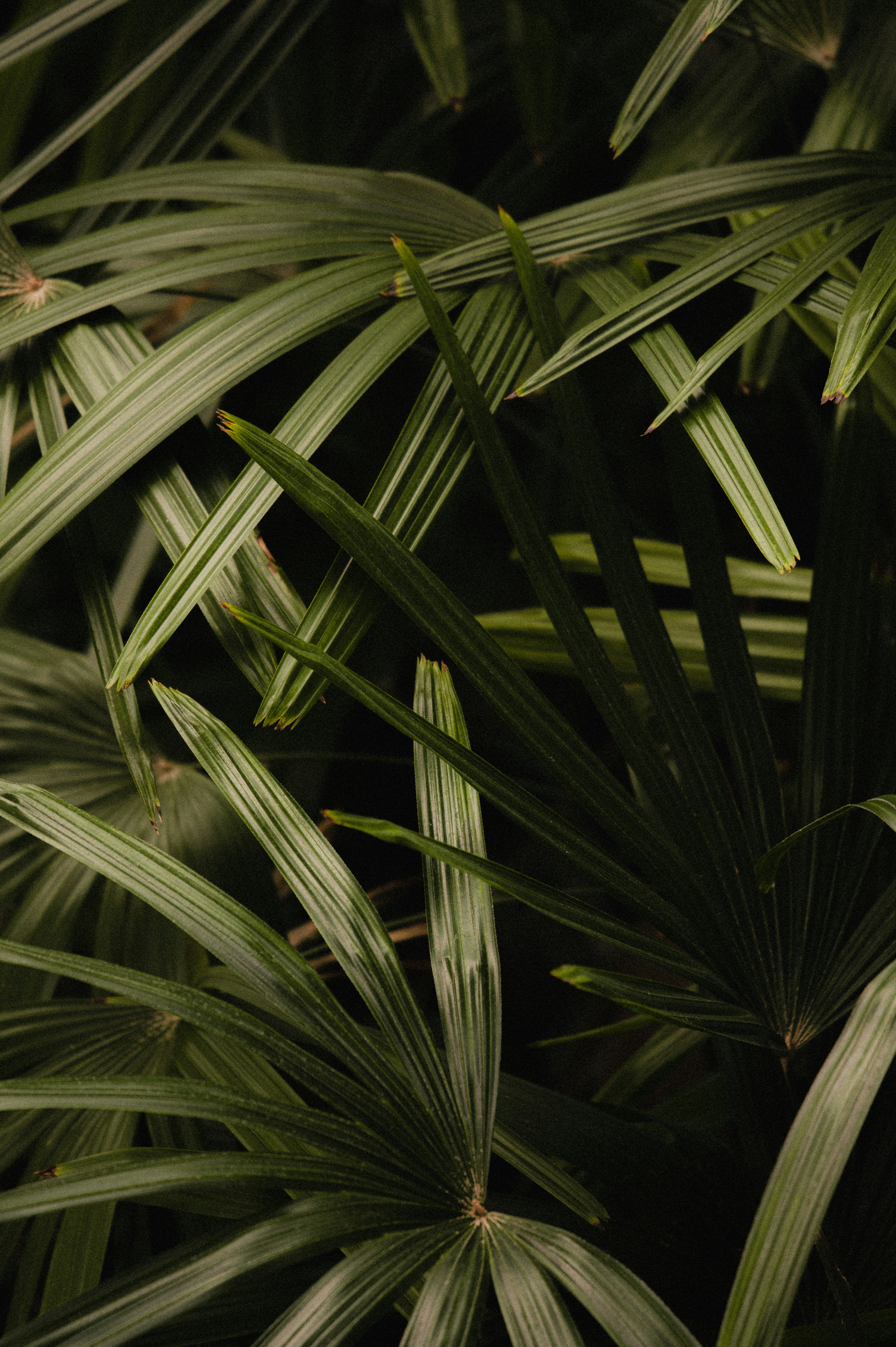 Photo by ryunosuke_kikuno