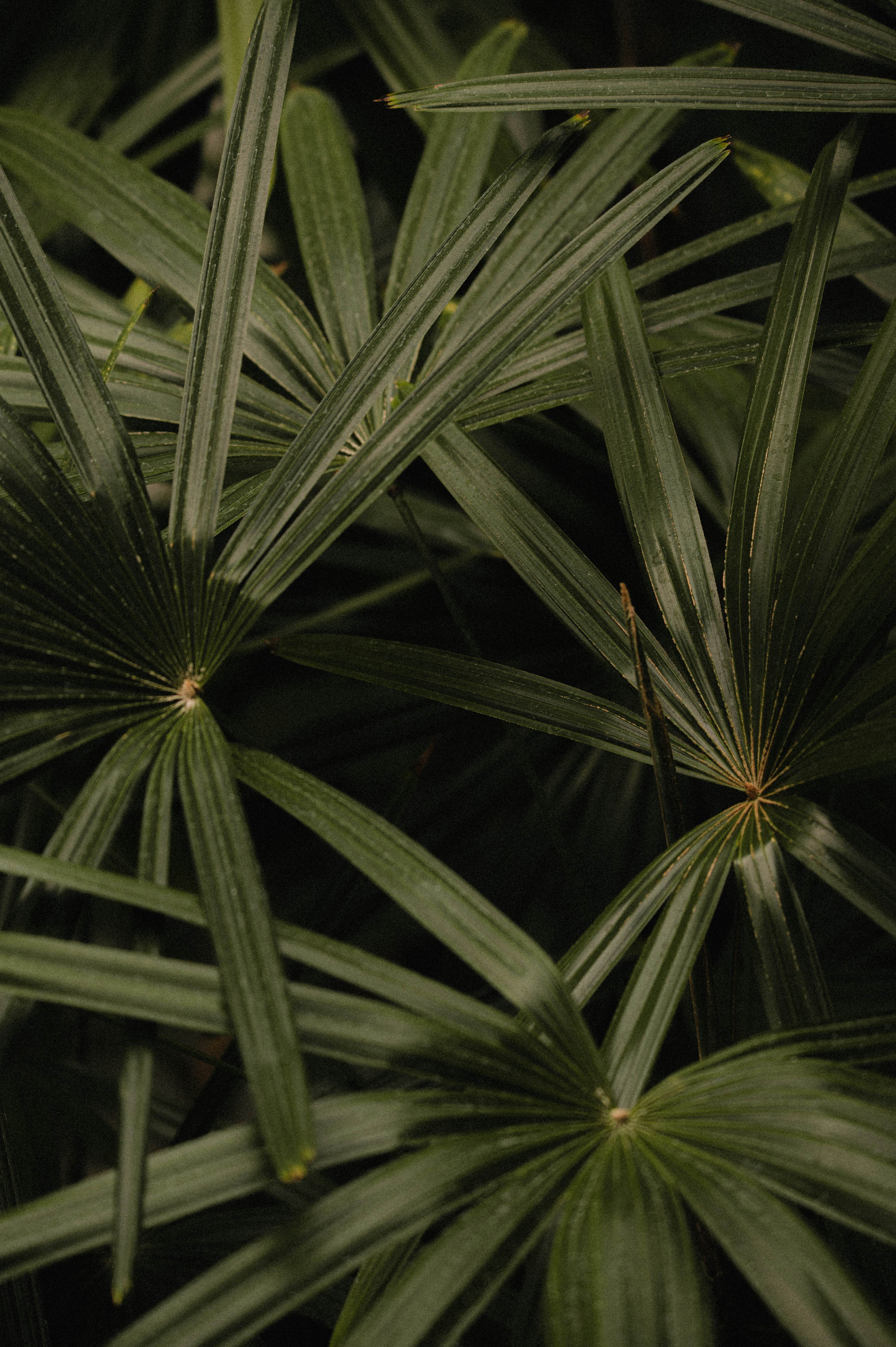 Photo by ryunosuke_kikuno