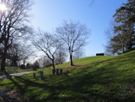 Wide shot of the cemetery’s rolling hills with sunlight filtering through the leaves.