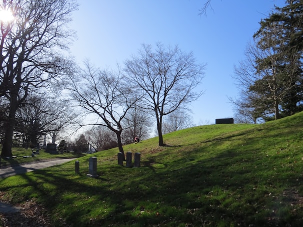 A peaceful cemetery scene with sunlight filtering through trees.