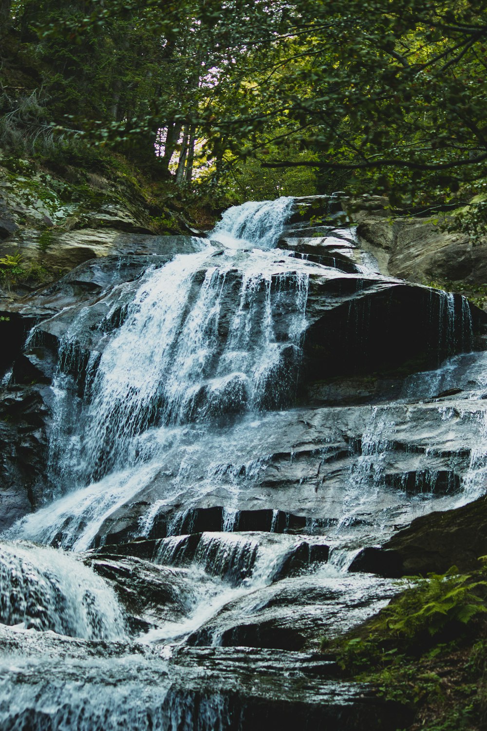ein Wasserfall im Wald mit viel Wasser