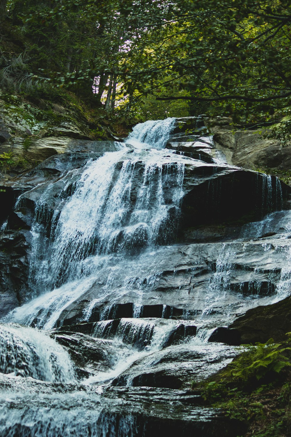 Une cascade dans les bois avec beaucoup d’eau