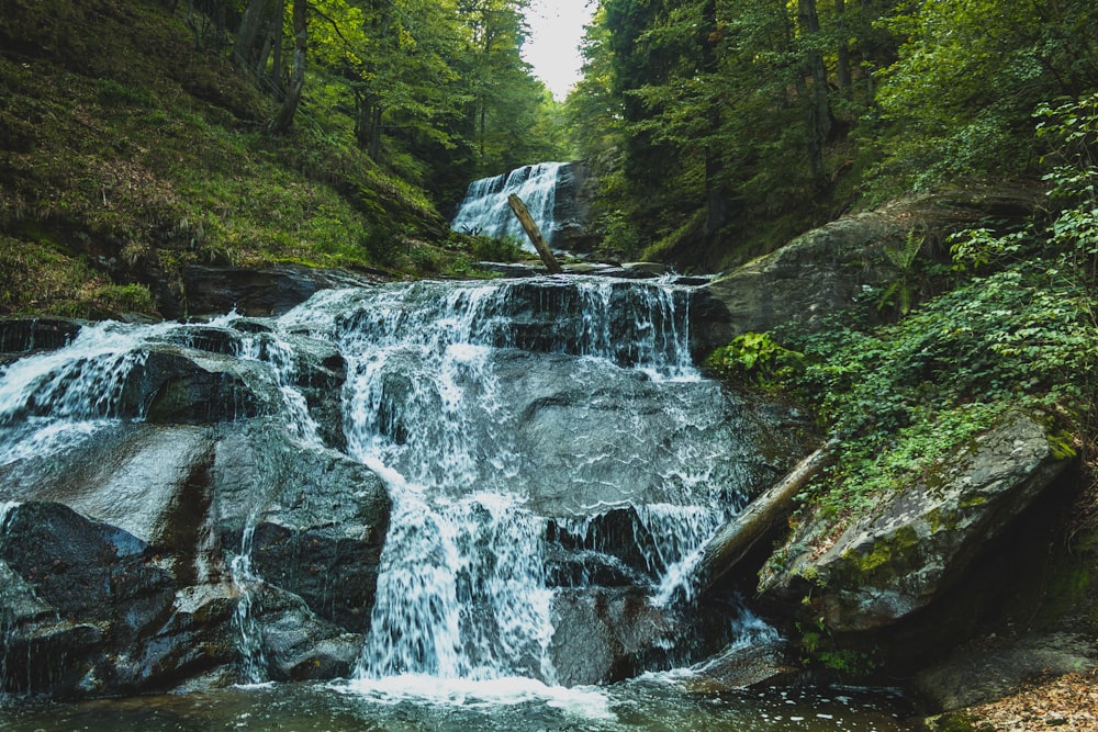 a small waterfall in the middle of a forest