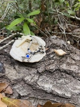 A rosary with a white cross and beads rests on a white stone-like surface placed on a textured tree bark. Green leaves and branches surround the scene, giving a natural and serene ambiance. Fallen brown leaves are scattered around, enhancing the rustic feel.