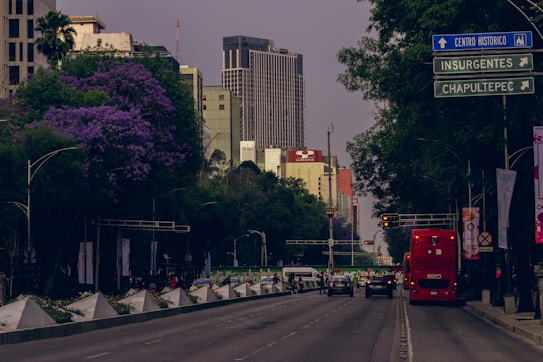 An urban street scene with a red double-decker bus parked on the right side of the road. Tall buildings and skyscrapers are visible in the background, surrounded by lush green trees, some with purple flowers. Street signs point toward 'Centro Historico,' 'Insurgentes,' and 'Chapultepec.' The sky is overcast, adding a moody ambiance to the scene.