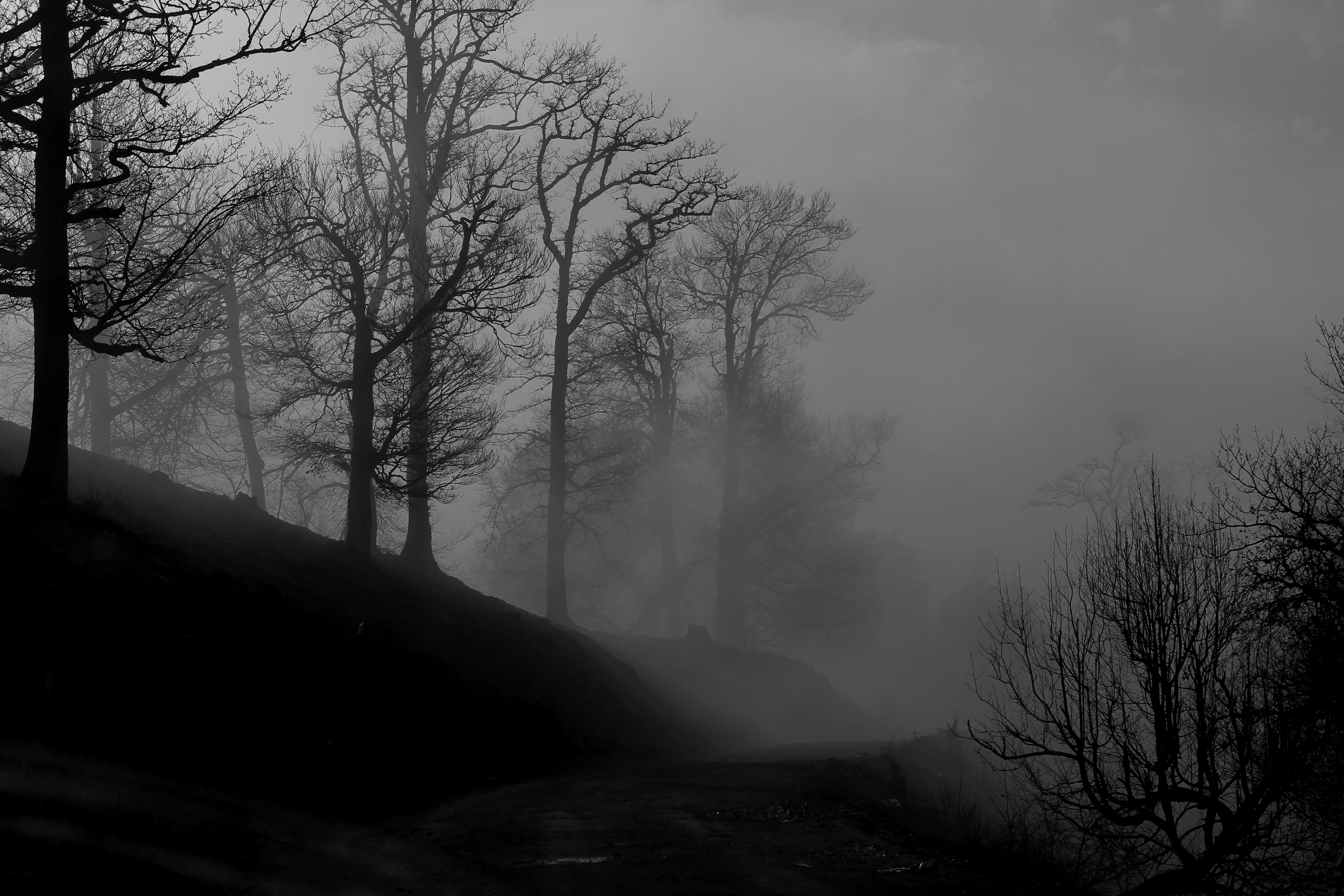 Photo by mokhalad