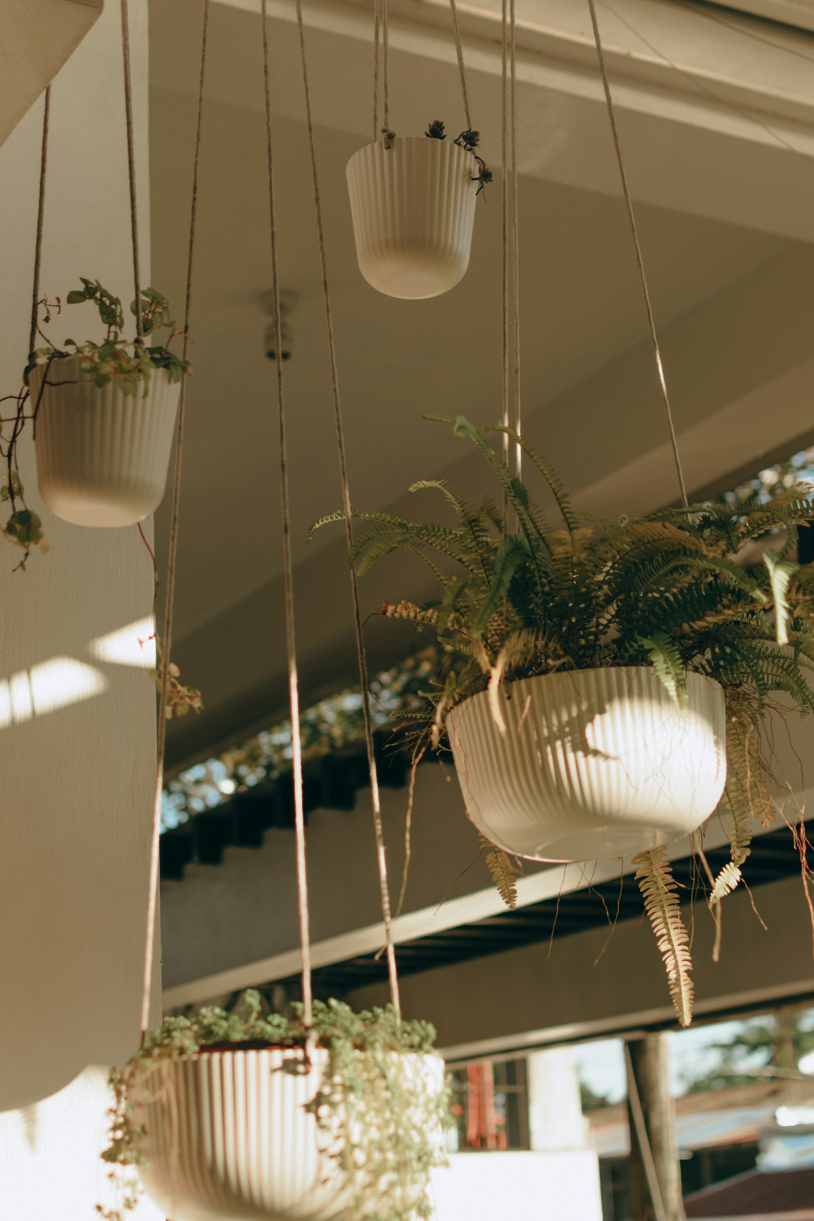 Photo by sbellocillo