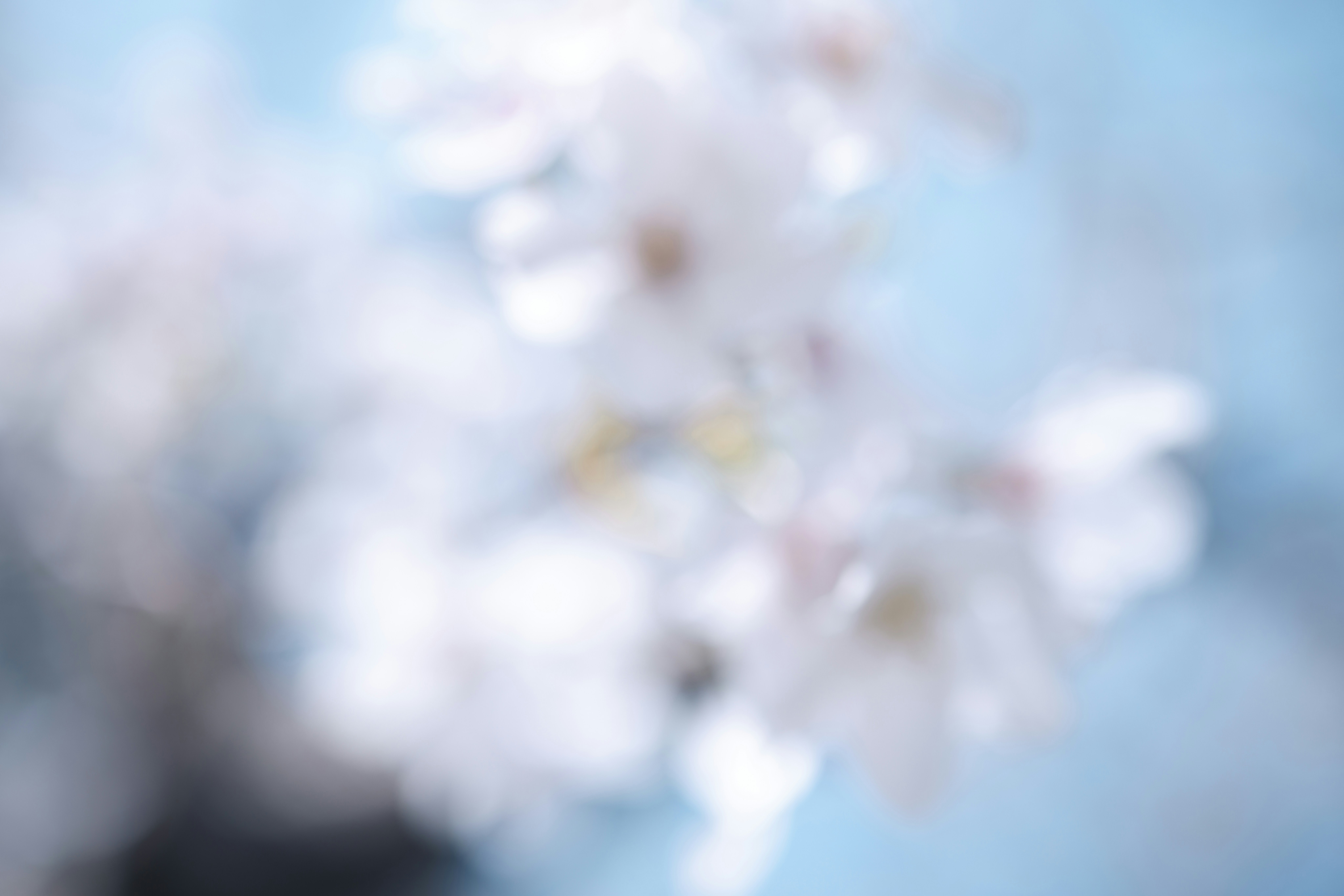 Photo by arttoinspire