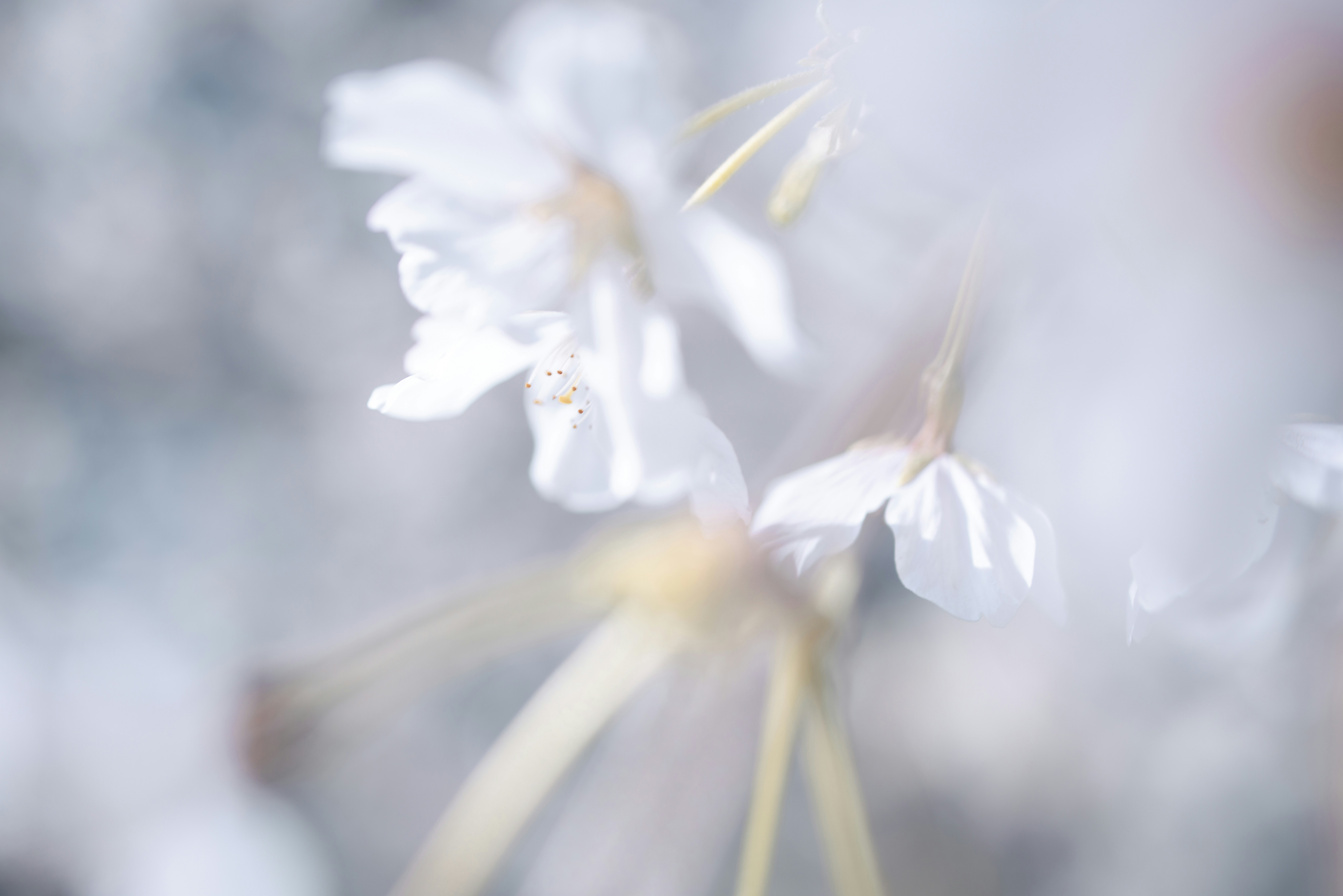 Photo by arttoinspire