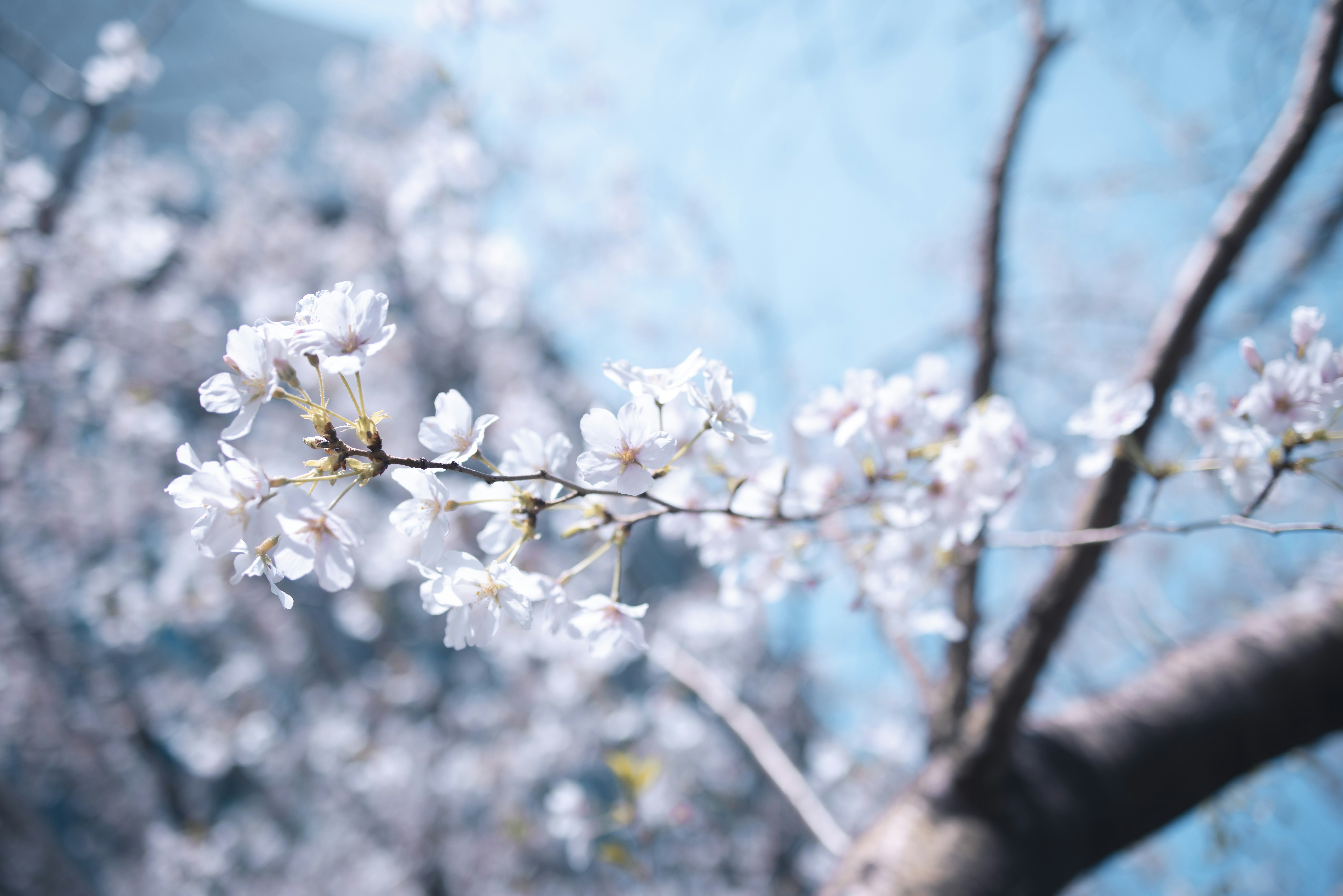 Photo by arttoinspire