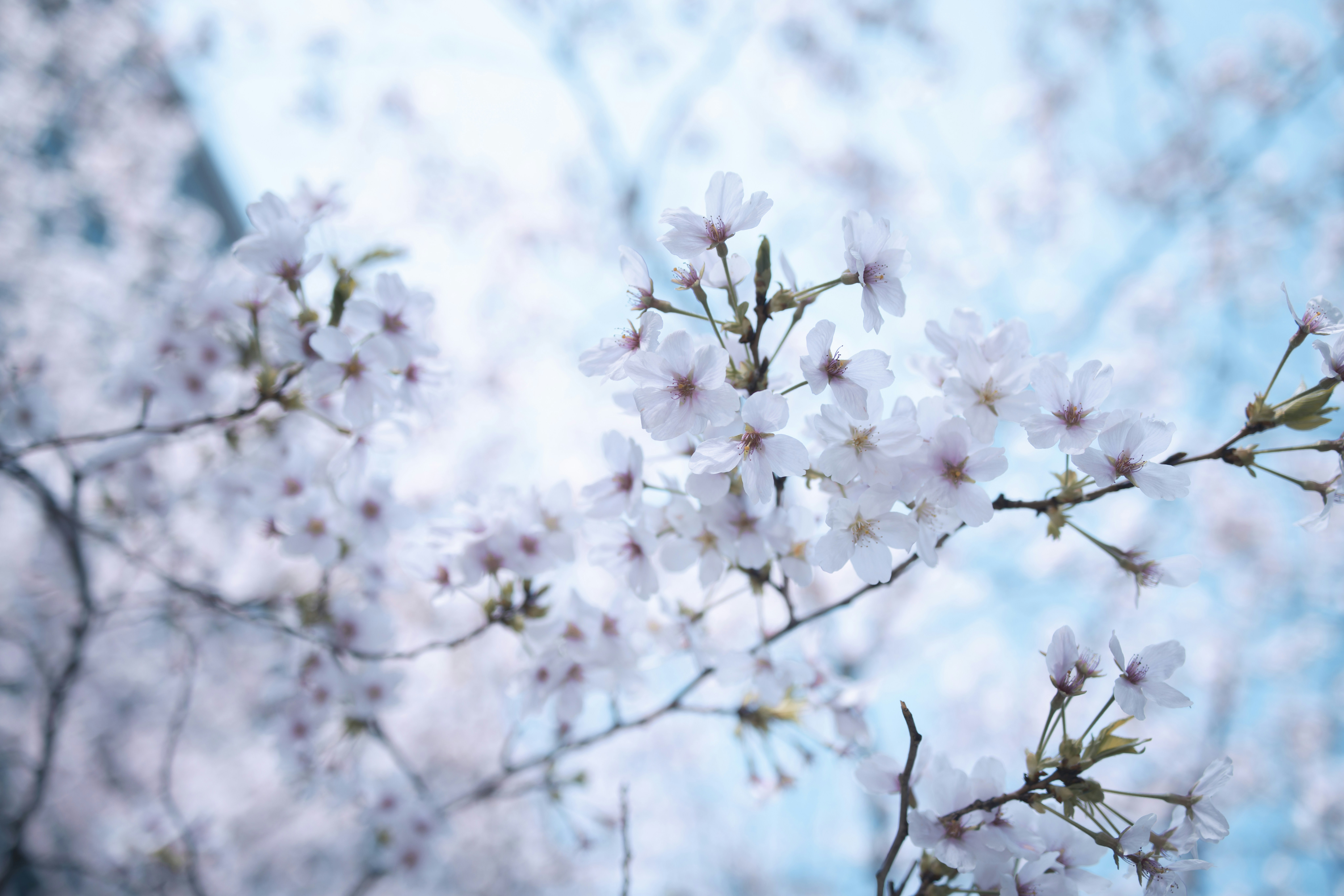 Photo by arttoinspire