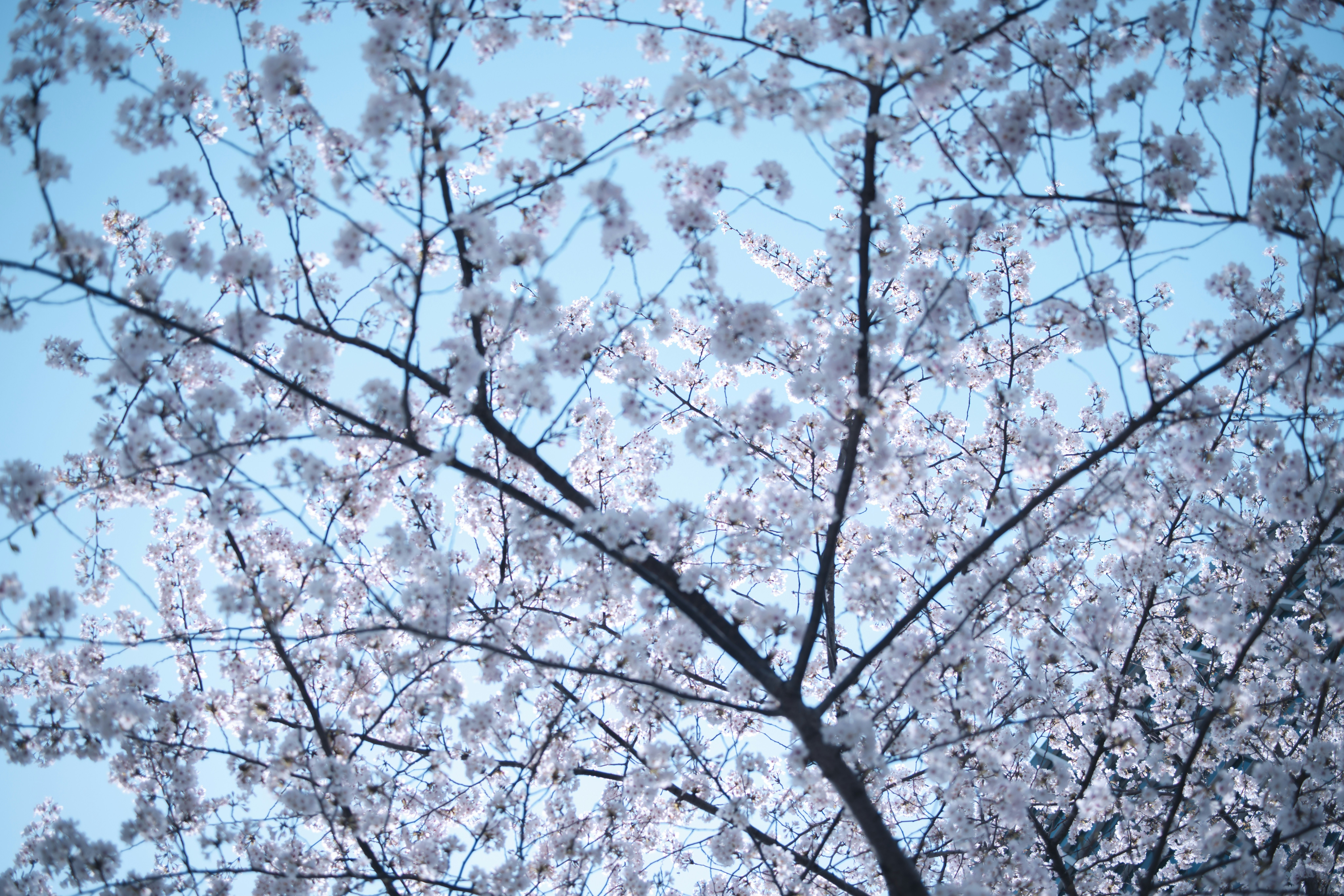 Photo by arttoinspire