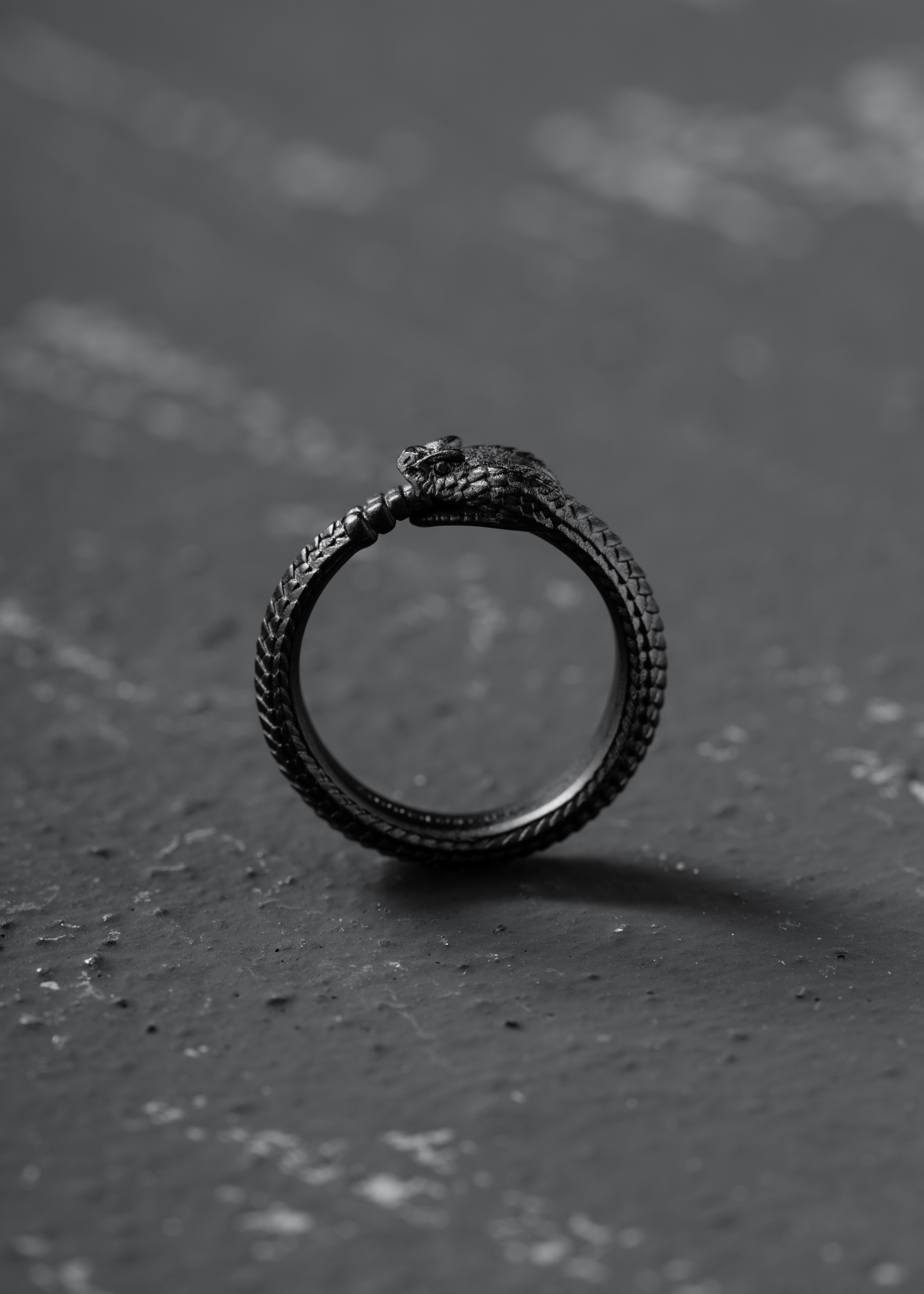 Ouroboros Ring