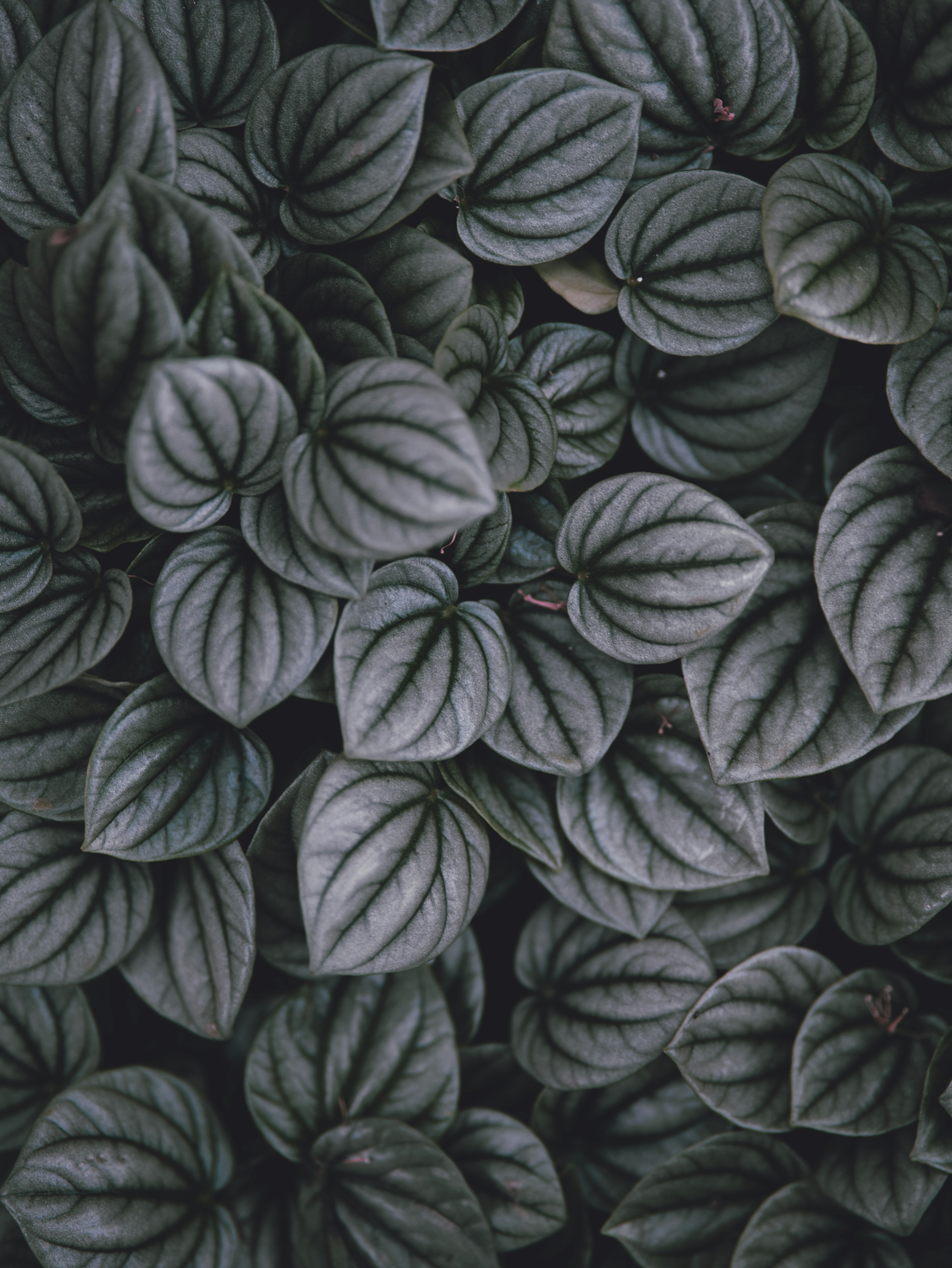 Photo by aaronburden