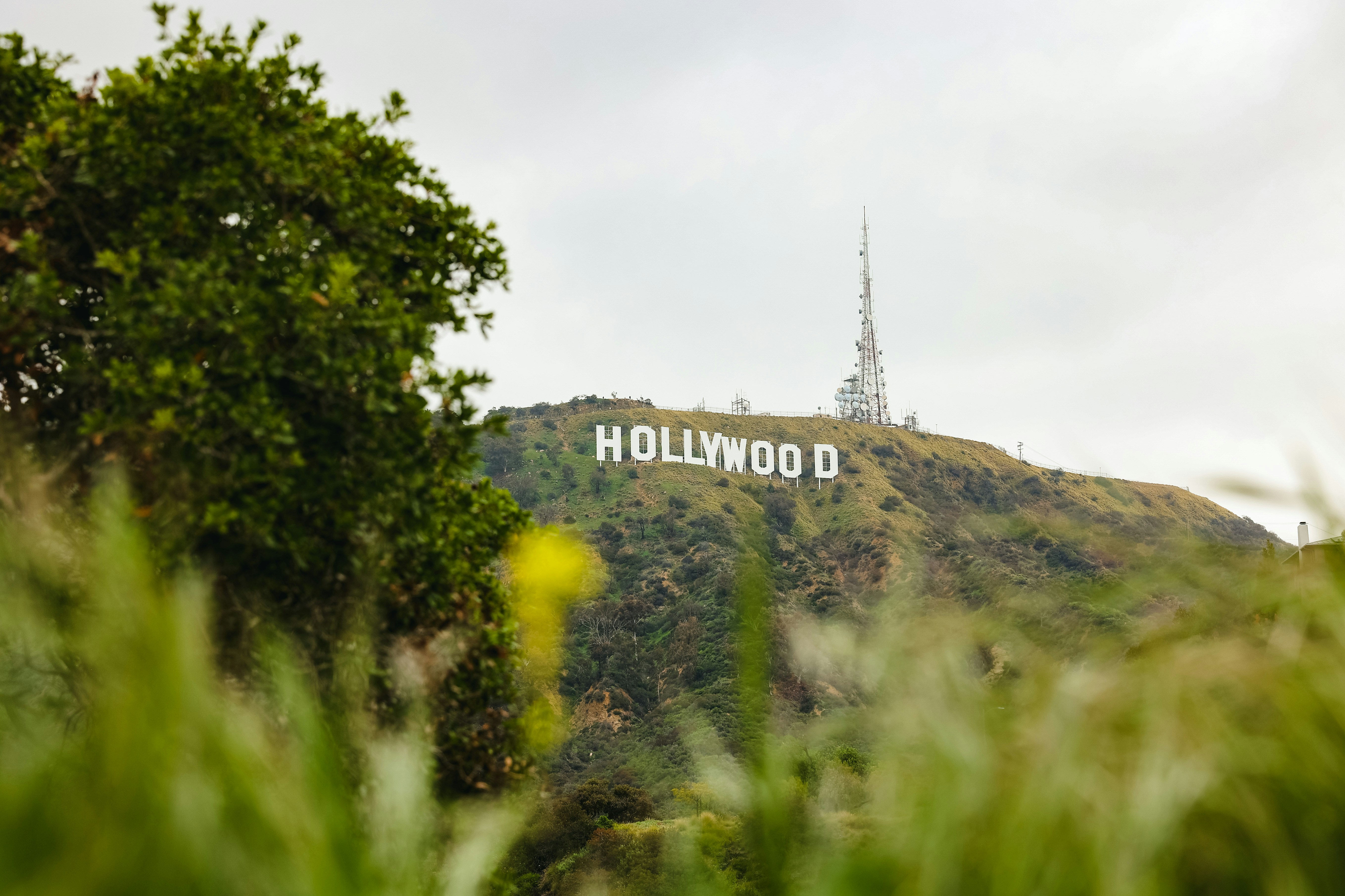the hollywood sign is on top of a hill