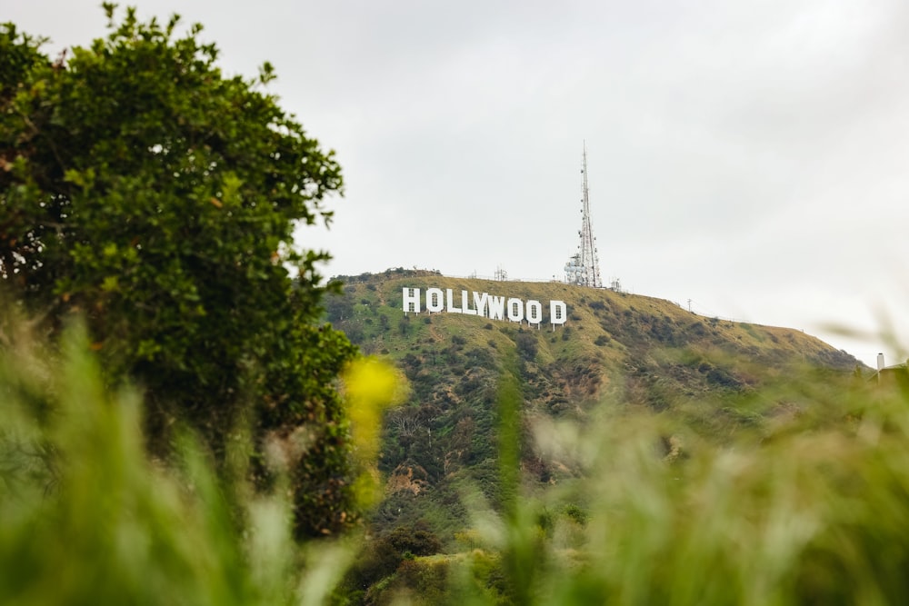 the hollywood sign is on top of a hill