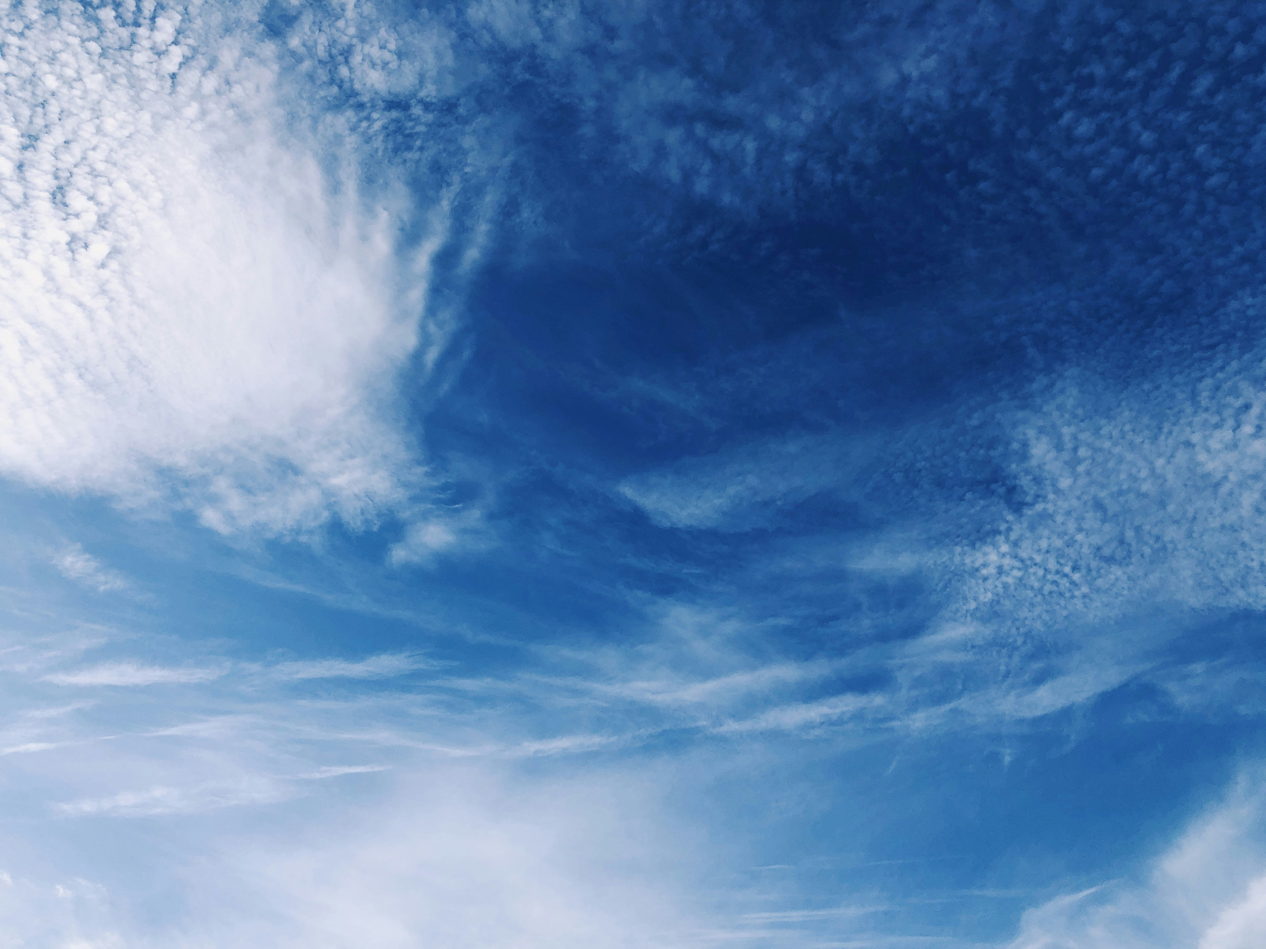 Photo by julianbklein