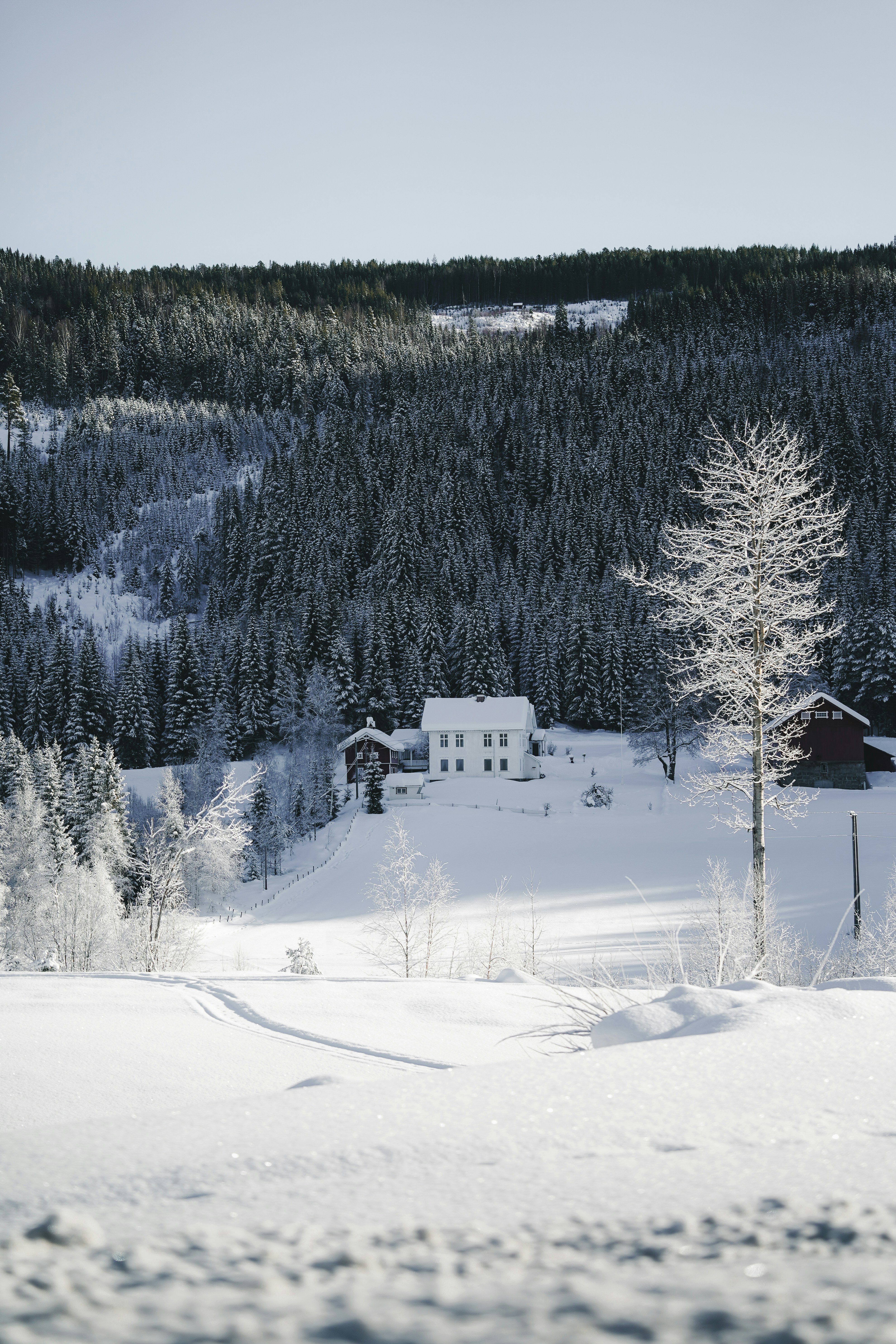 A house in the middle of a snowy field photo – Free Nature Image on ...