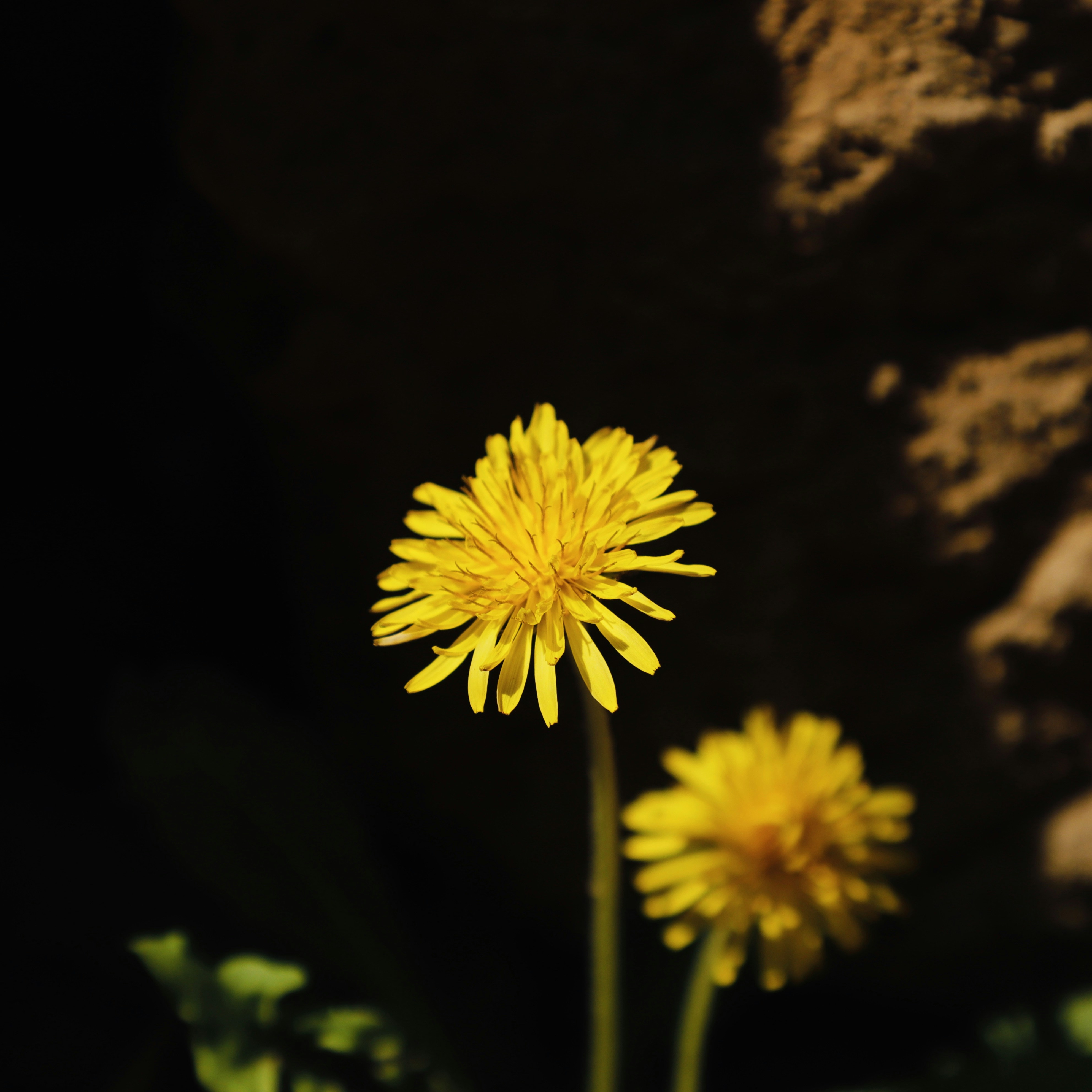 Photo by galaxyhunter