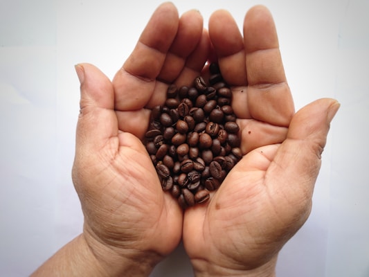 Two hands are cupped together holding a collection of dark roasted coffee beans. The background is a soft white, emphasizing the rich, deep color of the beans and the texture of the skin on the hands.