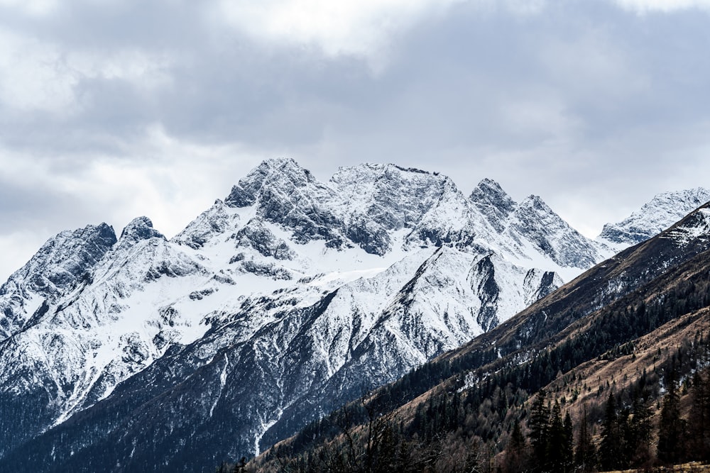 a snow covered mountain range with trees in the foreground