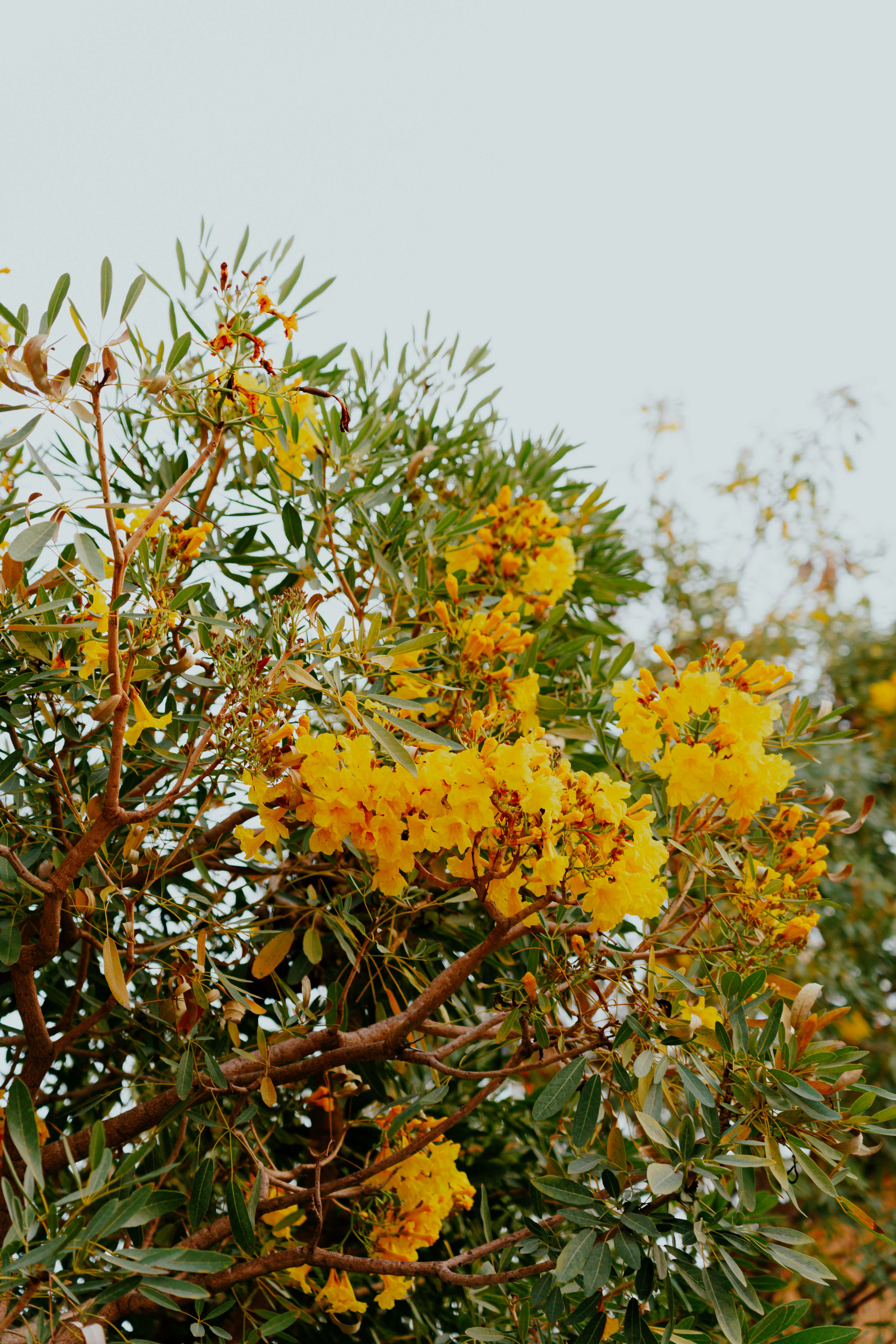 Photo by ruddycorporanx