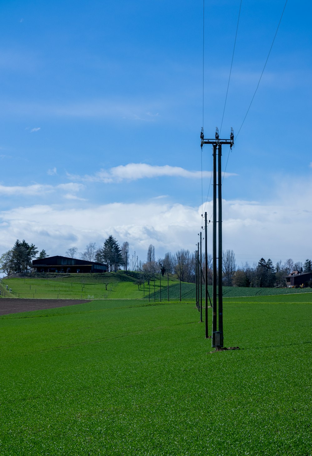 a telephone pole in the middle of a green field