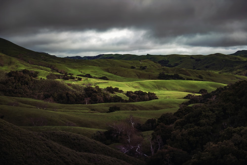 a lush green hillside covered in trees under a cloudy sky